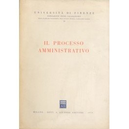 Il processo amministrativo. Scritti in onore di Giovanni Miele