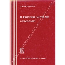 Il processo cautelare