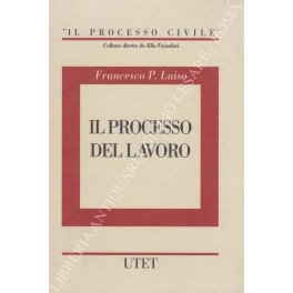 Il processo del lavoro