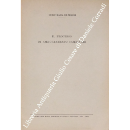 Il processo di ammortamento cambiario