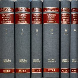 Il rapporto di lavoro privato subordinato. Vol. I (tomo primo … | Immagine Gallery 2