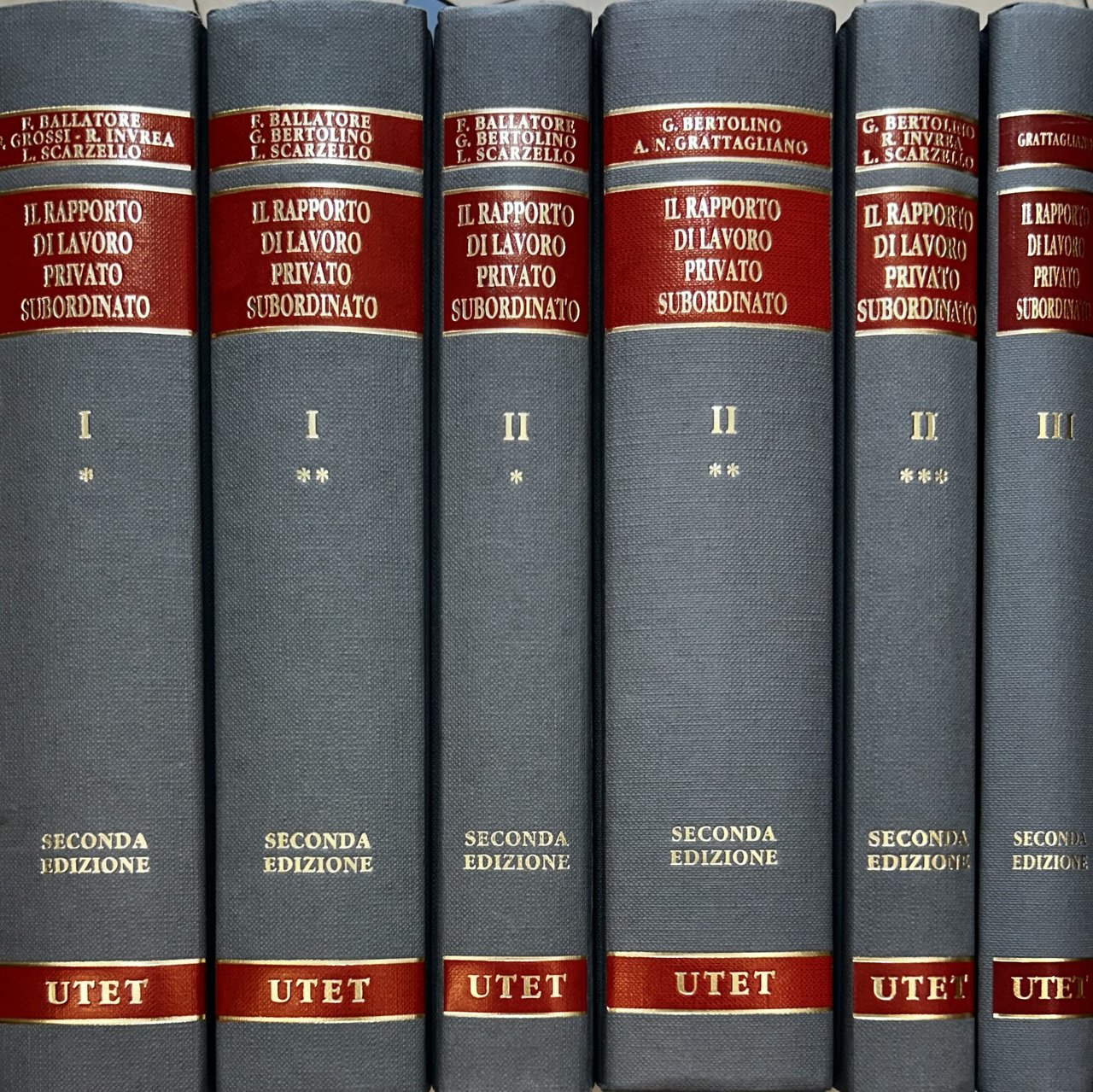 Il rapporto di lavoro privato subordinato. Vol. I (tomo primo … | Immagine principale