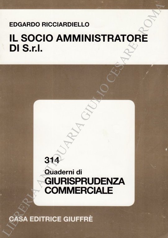 Il socio amministratore di S.r.L. | Immagine Gallery 2