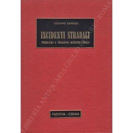 Incidenti stradali. Problemi e indagini medico-legali. Prefazione di Aldo Franchini