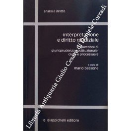 Interpretazione e diritto giudiziale. Vol. II - Questioni di giurisprudenza …