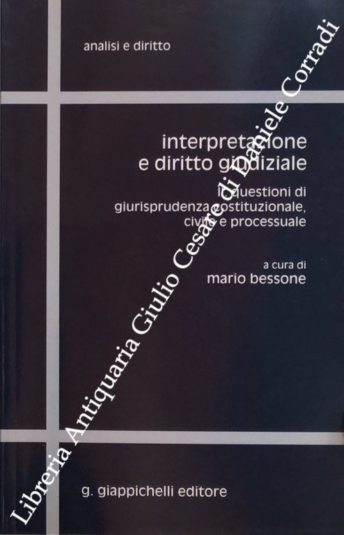 Interpretazione e diritto giudiziale. Vol. II - Questioni di giurisprudenza … | Immagine Gallery 2