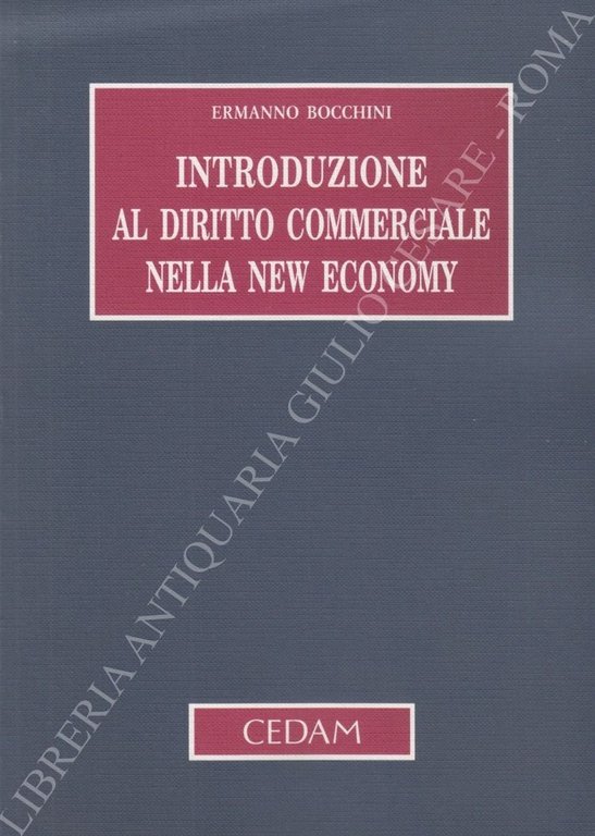 Introduzione al diritto commerciale nella new economy | Immagine Gallery 2