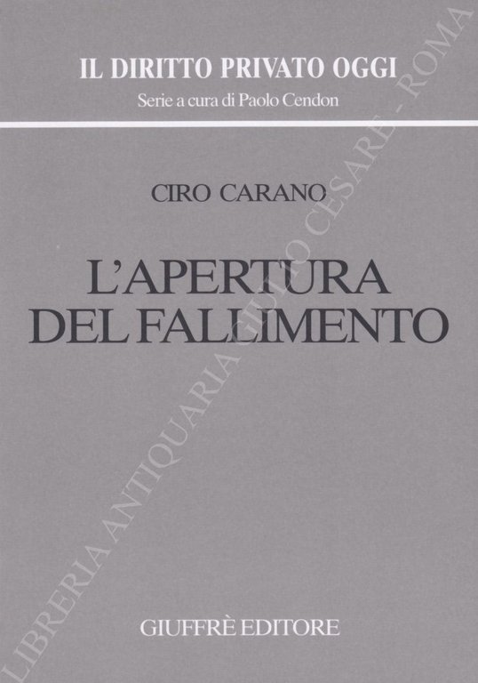 L'apertura del fallimento | Immagine Gallery 3