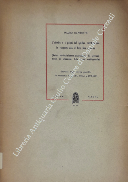 L'attività e i poteri del giudice costituzionale in rapporto con … | Immagine Gallery 2