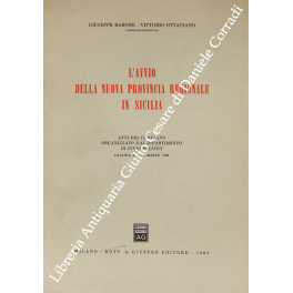 L'avvio della nuova provincia regionale in Sicilia. Atti del Convegno …