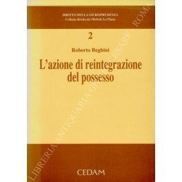 L'azione di reintegrazione del possesso