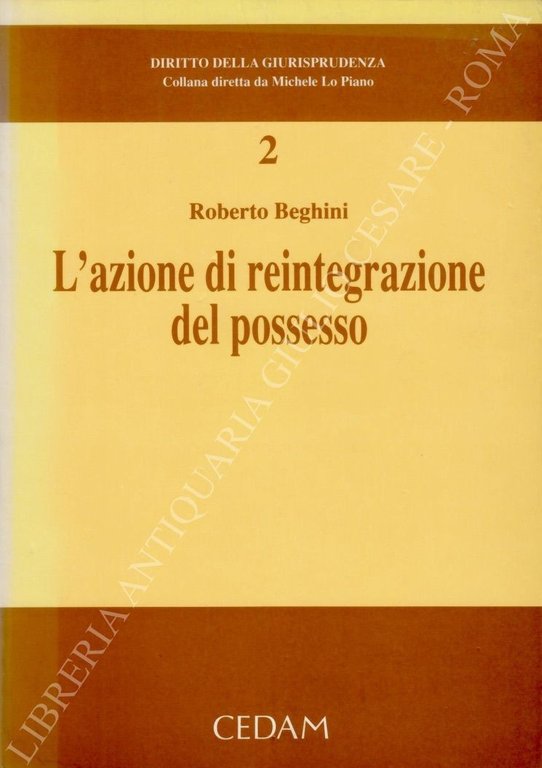 L'azione di reintegrazione del possesso | Immagine Gallery 2