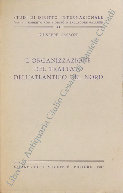L'organizzazione del trattato dell'Atlantico del Nord | Immagine Gallery 2