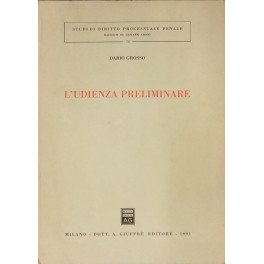 L'udienza preliminare