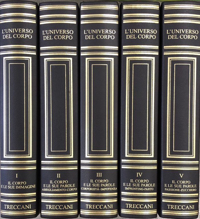 L'universo del corpo | Immagine Gallery 2