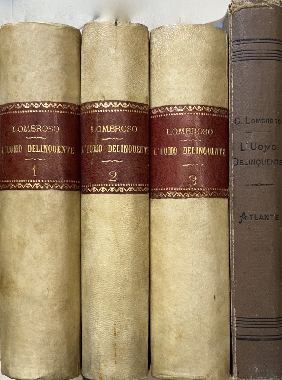 L'uomo delinquente in rapporto all'antropologia, alla giurisprudenza ed alle discipline … | Immagine principale