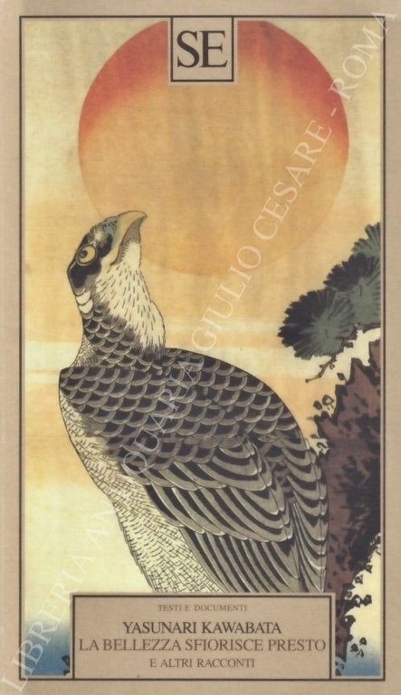 La bellezza sfiorisce presto e altri racconti. A cura di … | Immagine Gallery 2