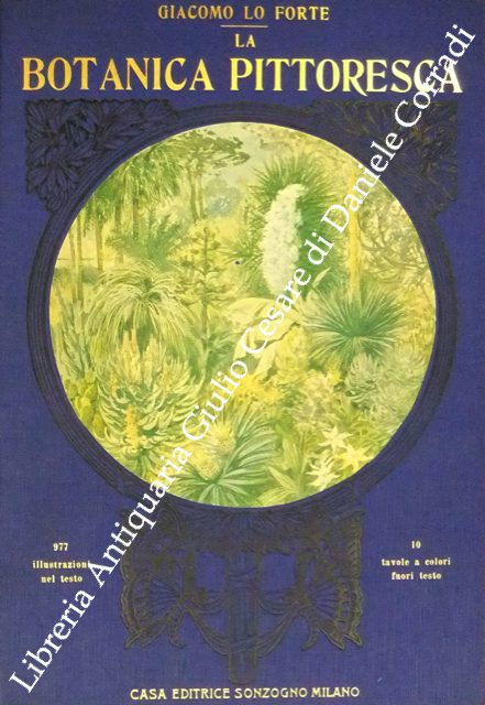 La botanica pittoresca. Esposizione biologica e sistematica del regno vegetale | Immagine Gallery 2
