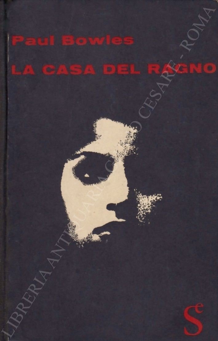 La casa del ragno | Immagine principale