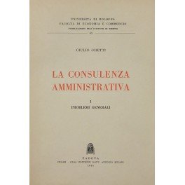 La consulenza amministrativa. Vol. I - Problemi generali
