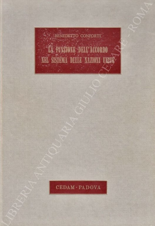 La funzione dell'accordo nel sistema delle Nazioni Unite | Immagine Gallery 2