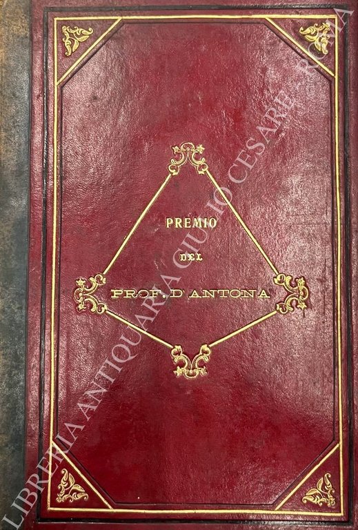 La nuova chirurgia del sistema nervoso centrale. Lezioni dettate nell'Ospedale … | Immagine Gallery 3