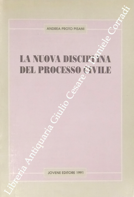 La nuova disciplina del processo civile | Immagine Gallery 2