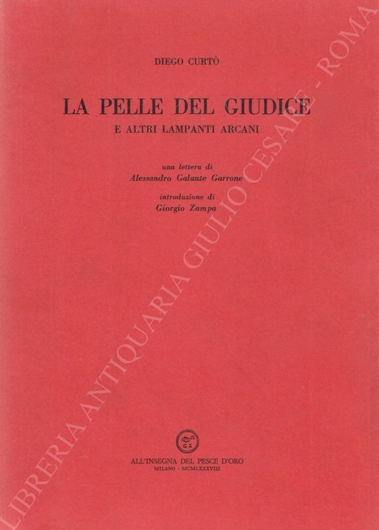 La pelle del giudice e altri lampanti arcani | Immagine Gallery 2