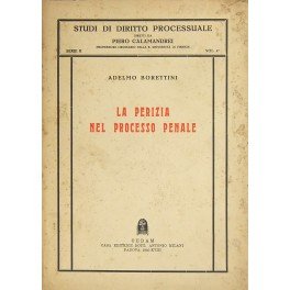 La perizia nel processo penale italiano