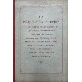 La prima tavola anatomica sui vasi chiliferi dimostrati nell'uomo. Opera … | Immagine principale