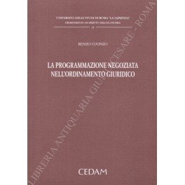 La programmazione negoziata nell'ordinamento giuridico