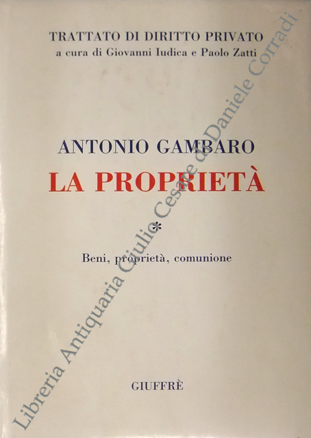 La proprietà. Beni, proprietà, comunione | Immagine Gallery 2