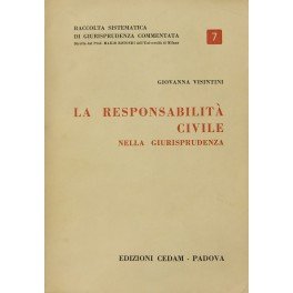 La responsabilità civile nella giurisprudenza
