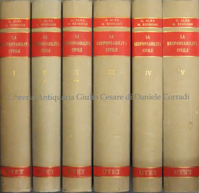 La responsabilità civile. Una rassegna di dottrina e giurisprudenza | Immagine Gallery 2