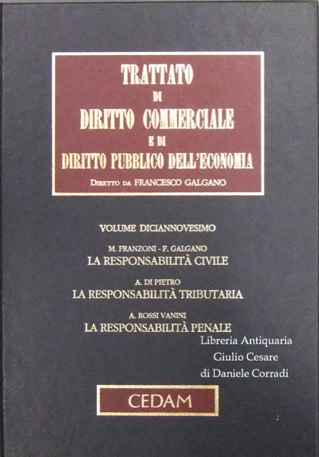 La responsabilità degli amministratori e dei sindaci. La responsabilità civile; … | Immagine Gallery 2