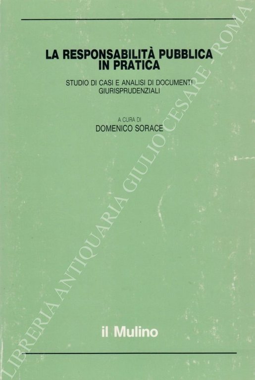 La responsabilità pubblica in pratica. Studio di casi e analisi … | Immagine Gallery 2