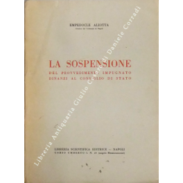 La sospensione del provvedimento impugnato dinanzi al Consiglio di Stato