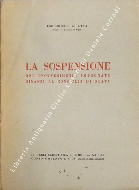 La sospensione del provvedimento impugnato dinanzi al Consiglio di Stato | Immagine Gallery 2