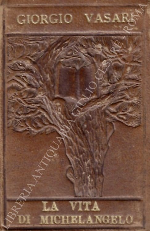 La vita di Michelangelo | Immagine Gallery 2