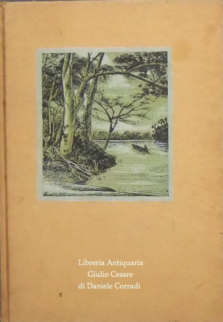 Le avventure di Huck Finn. Versione integrale di Luigi Berti | Immagine Gallery 2