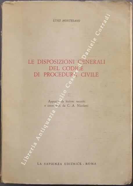 Le disposizioni generali del codice di procedura civile. Appunti da … | Immagine Gallery 2