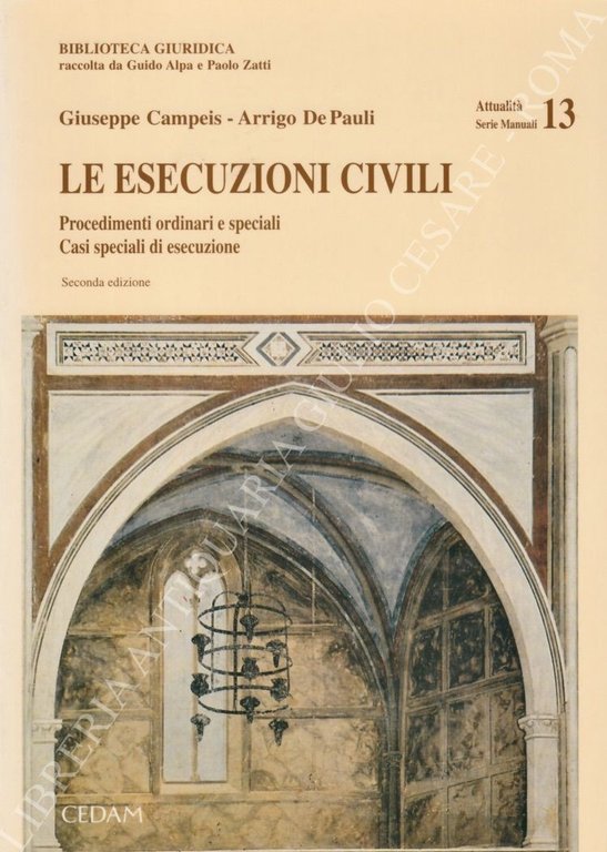 Le esecuzioni civili. Procedimenti ordinari e speciali. Casi speciali di … | Immagine Gallery 2