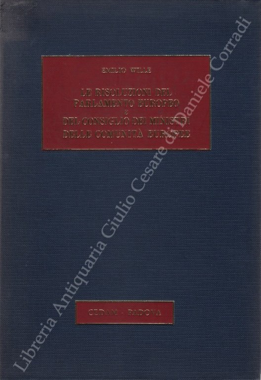 Le risoluzioni del Parlamento Europeo e del Consiglio dei ministri … | Immagine Gallery 2