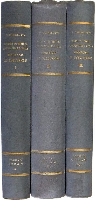 Lezioni di diritto processuale civile. Processo di esecuzione | Immagine Gallery 2