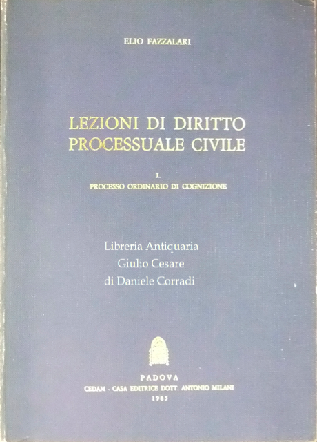 Lezioni di diritto processuale civile. Vol. I - Processo ordinario … | Immagine Gallery 2