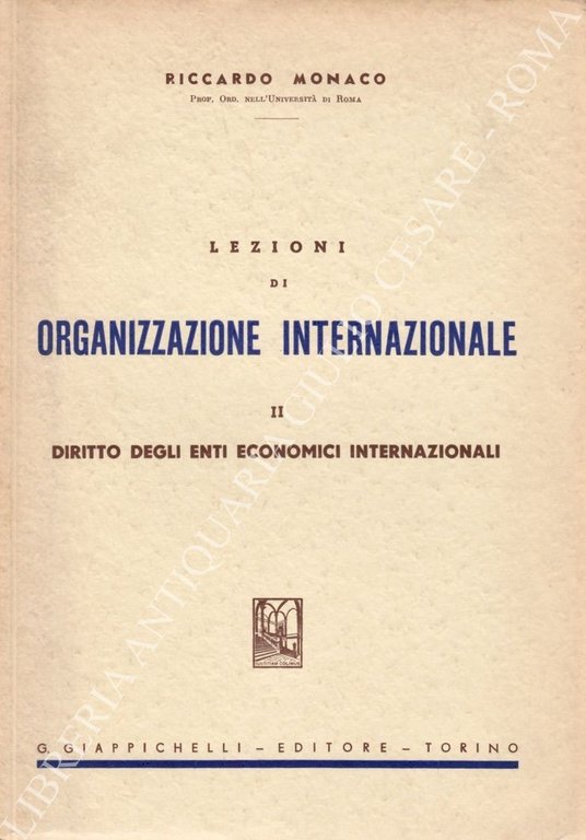 Lezioni di organizzazione internazionale. Vol. II - Diritto degli Enti … | Immagine Gallery 2