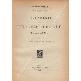 Lineamenti del processo penale italiano