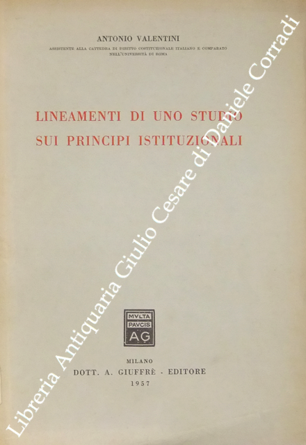 Lineamenti di uno studio sui principi istituzionali | Immagine Gallery 2