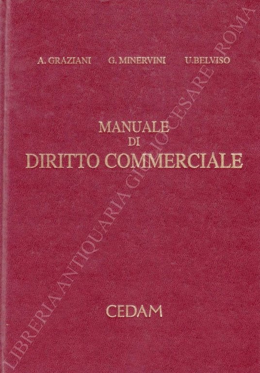 Manuale di diritto commerciale | Immagine Gallery 2