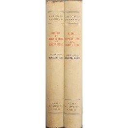 Manuale di diritto del lavoro e della sicurezza sociale. Vol. …